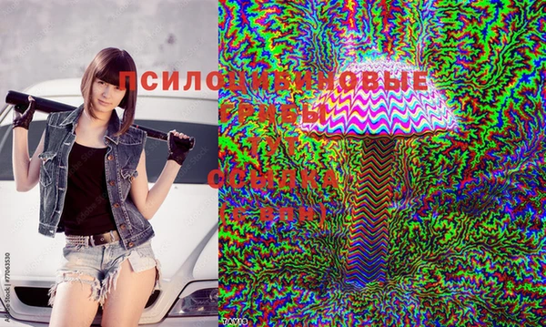 кристаллы Алзамай