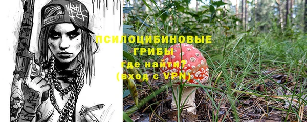 ешки Алексин