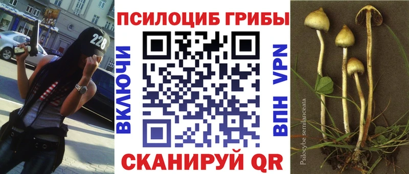 Галлюциногенные грибы MAGIC MUSHROOMS  Тула 