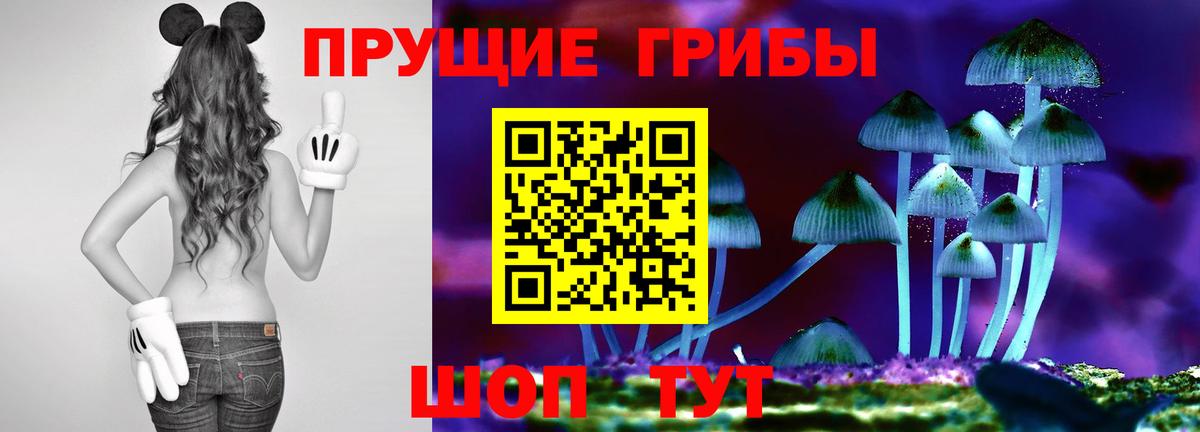 Псилоцибиновые грибы ЛСД Тула
