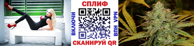 Бошки марихуана Amnesia  хочу   Тула 
